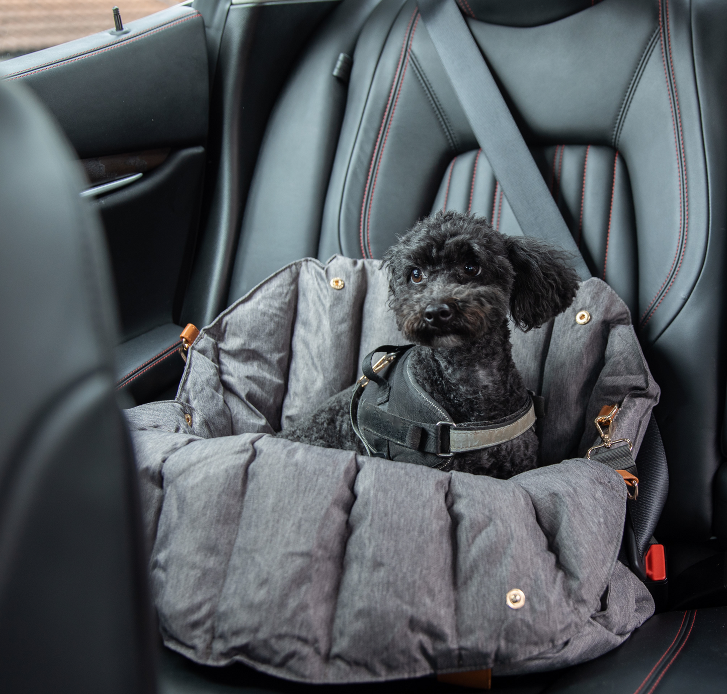 Dog online pouch bed